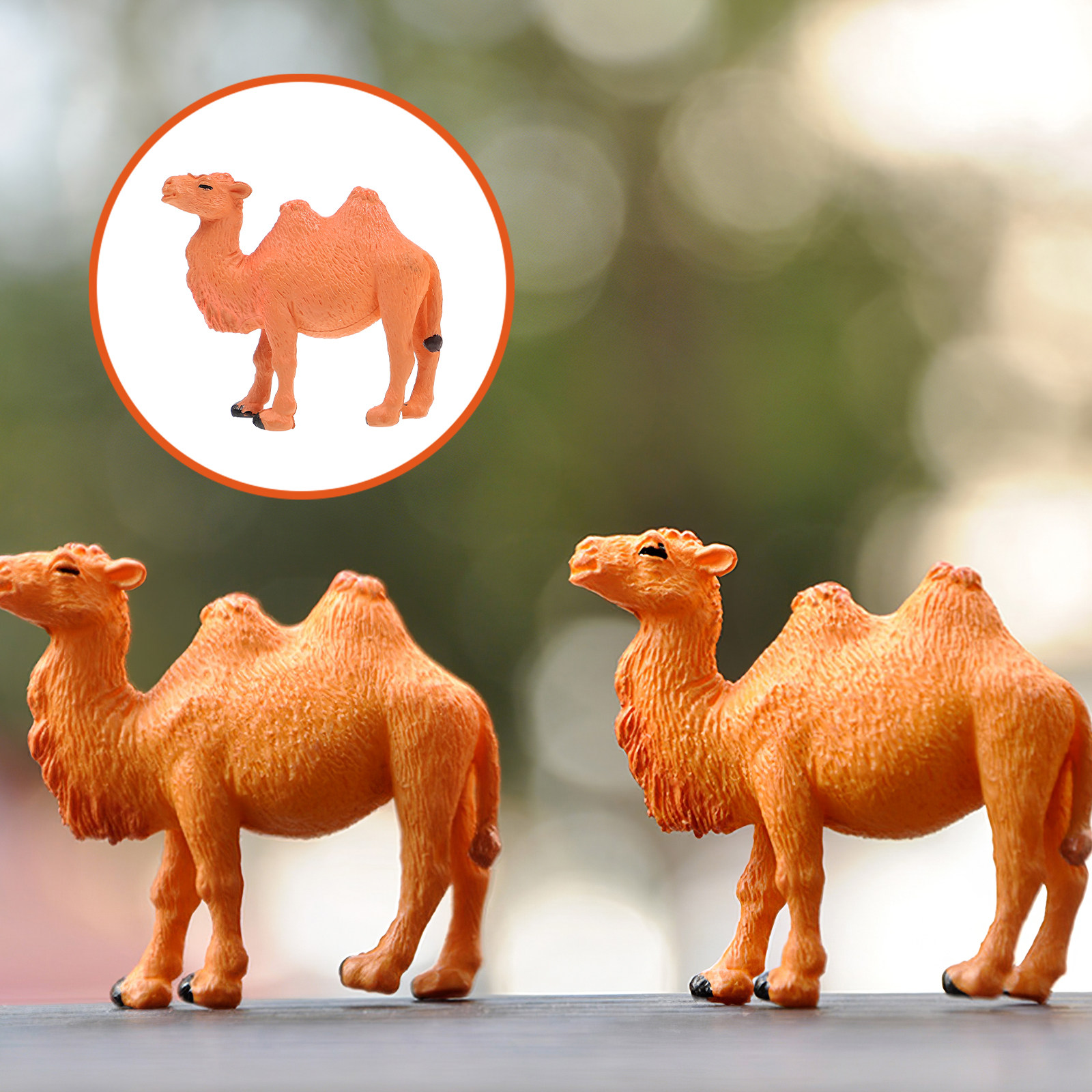 Science Toy - 4Pcs Realistic Camel Animal Ornament Set