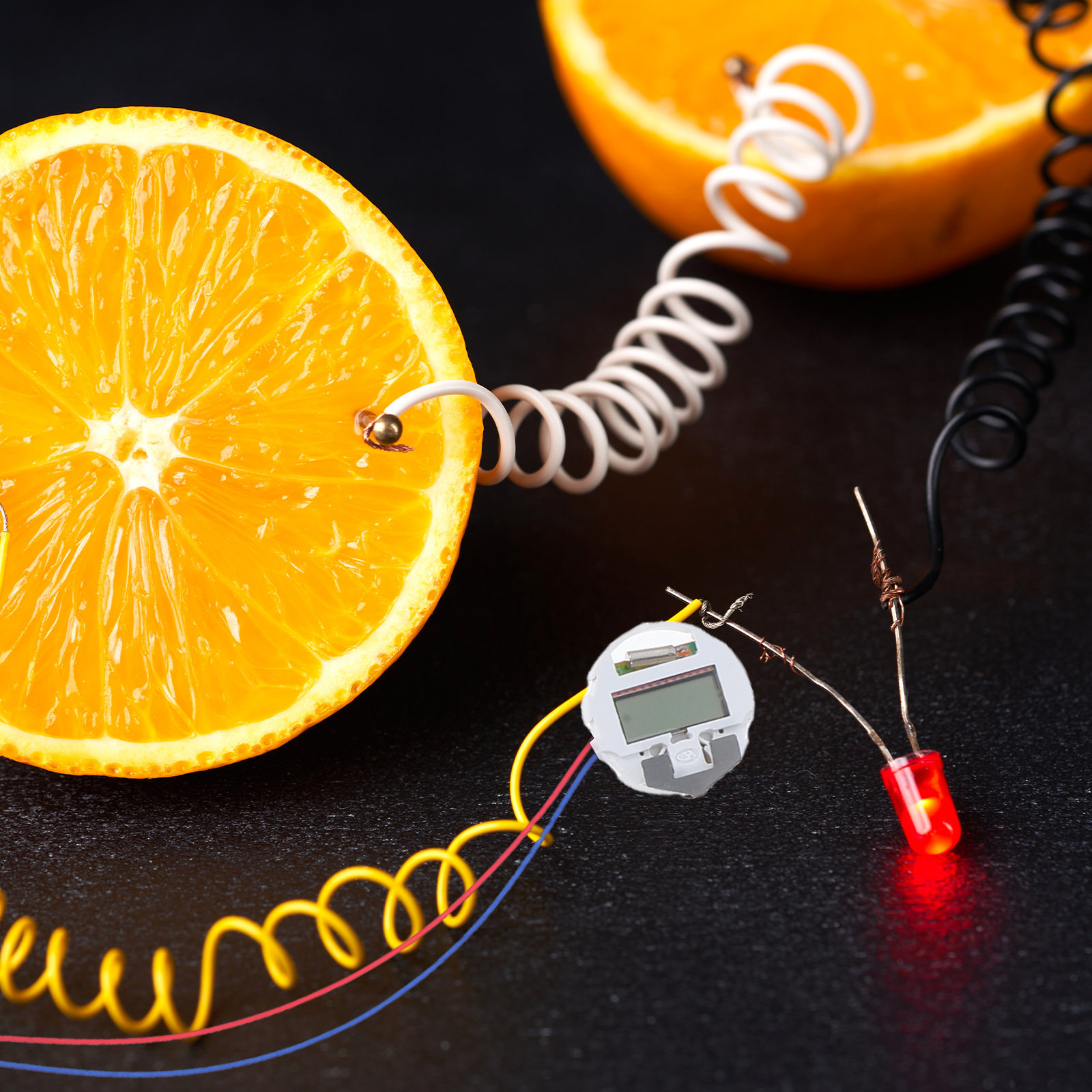1Set Fruit Battery Experiment  - Science Project Physics ulasan dan harga
