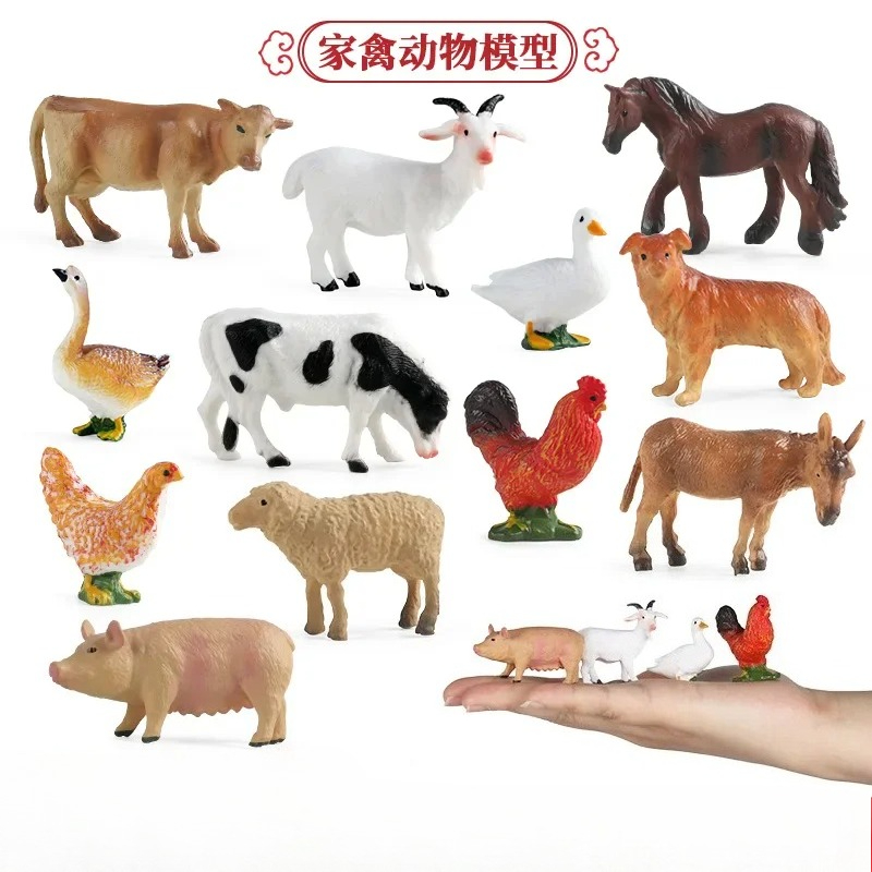 Education Teaching Tool Poultr - Science Toy ulasan dan harga