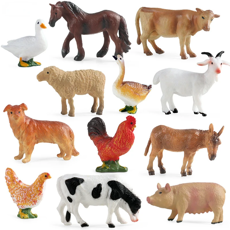Education Teaching Tool Poultr - Science Toy ulasan dan harga